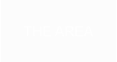 THE AREA